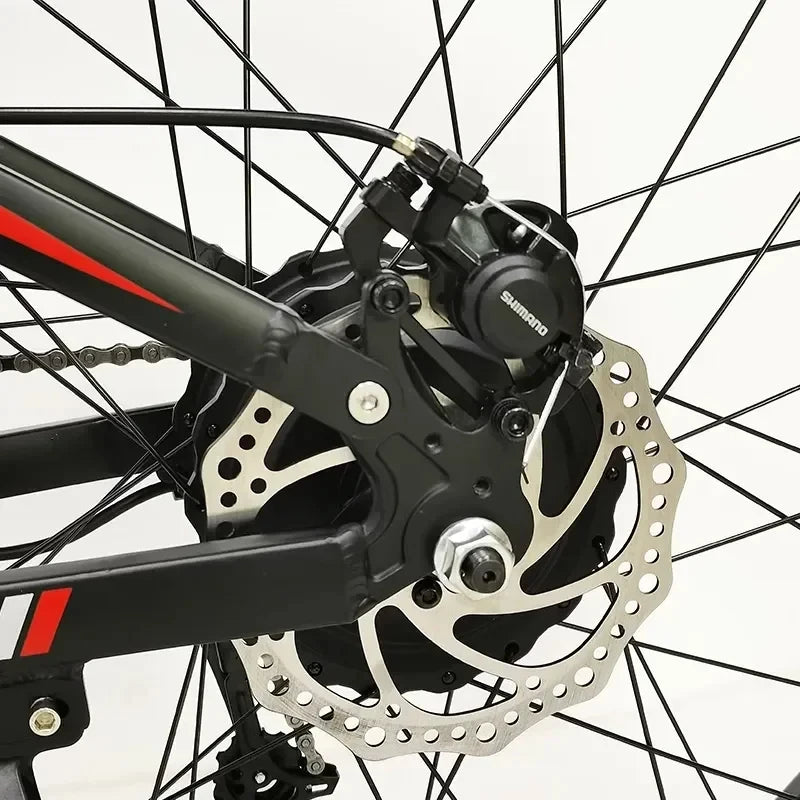 Electric City Bike ZR X