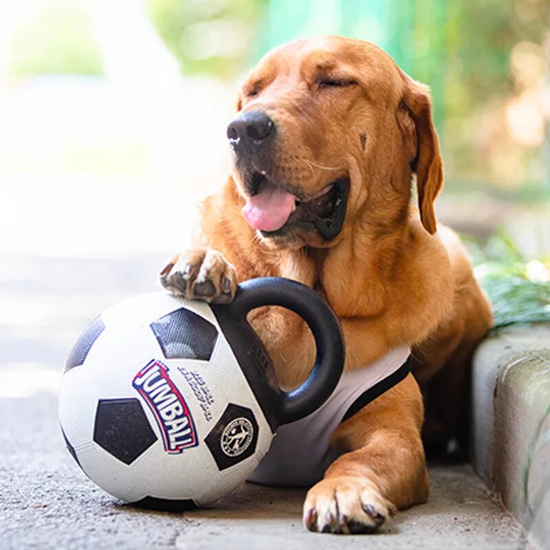 Jumball Dog Toy