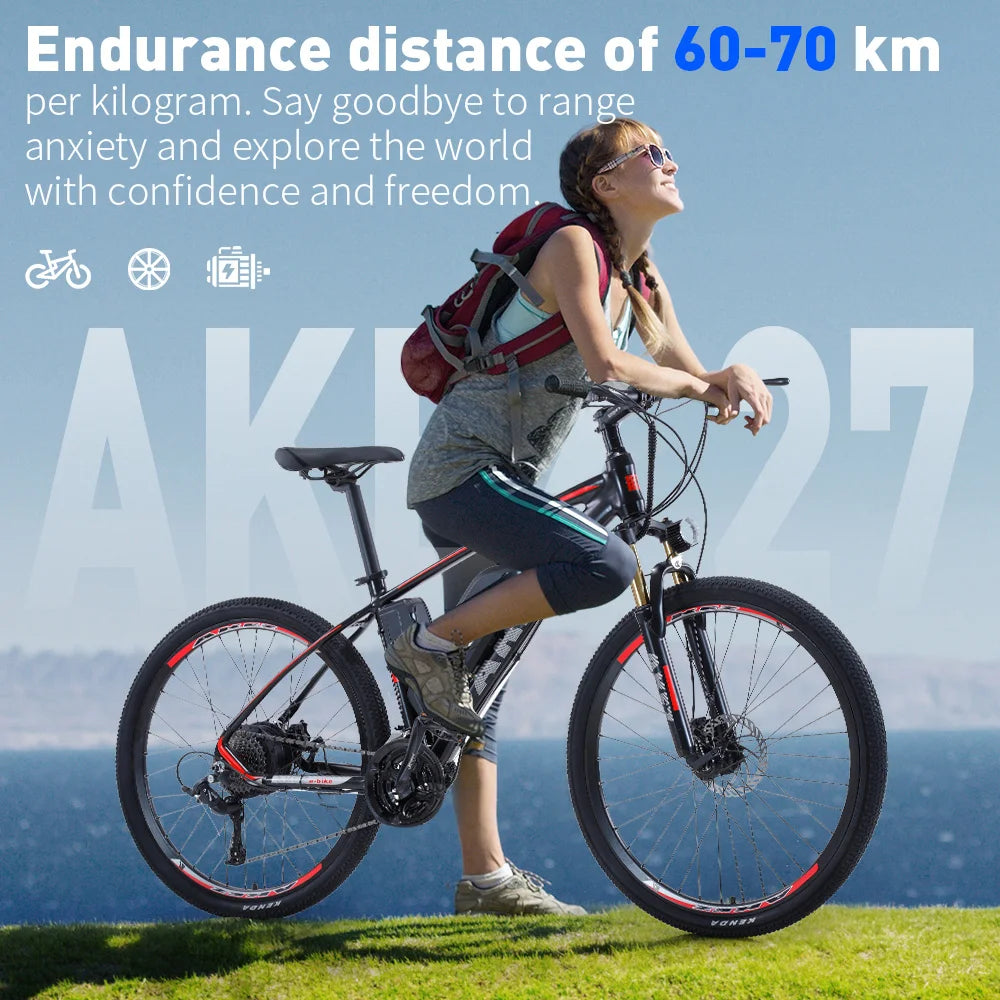 Moped Electric Bicycle Retro Motorcycle 48V High Performance