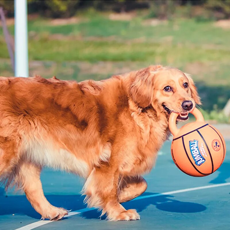 Jumball Dog Toy