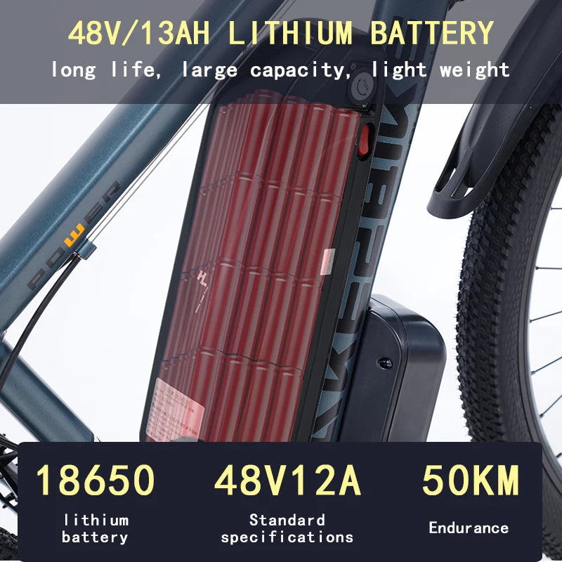 Electric Bicycle 48V 1000W Motor 29