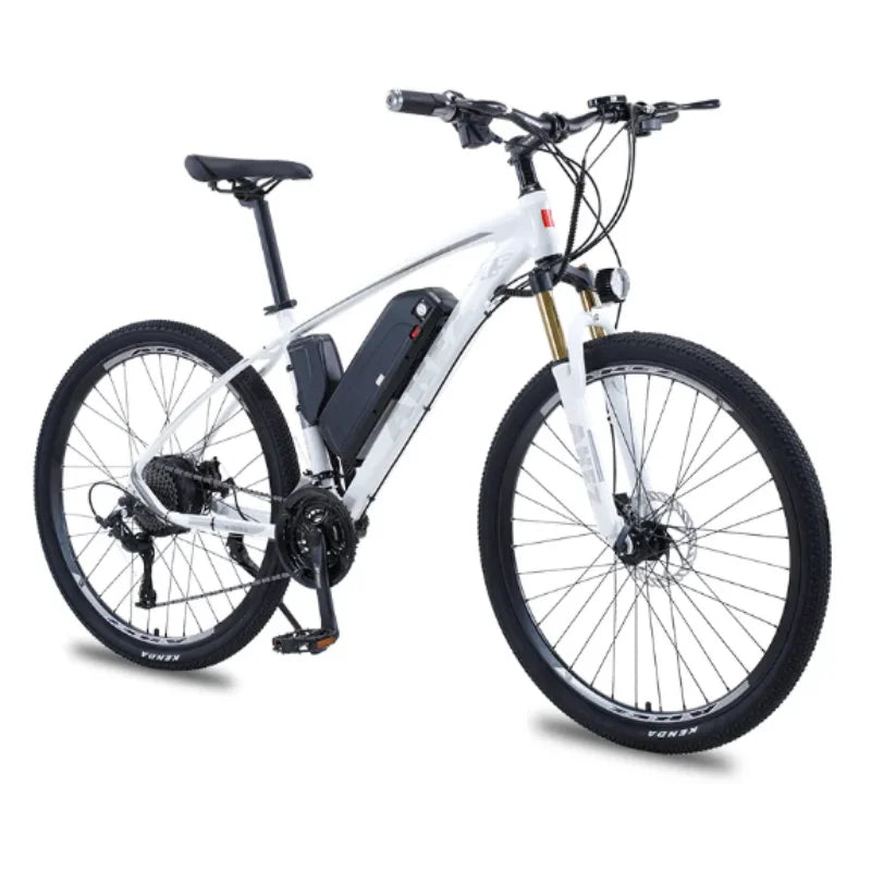 Moped Electric Bicycle Retro Motorcycle 48V High Performance