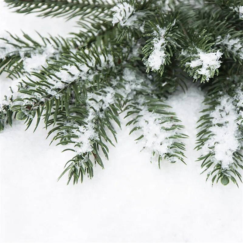 10/50/100g Artificial Snow Powder