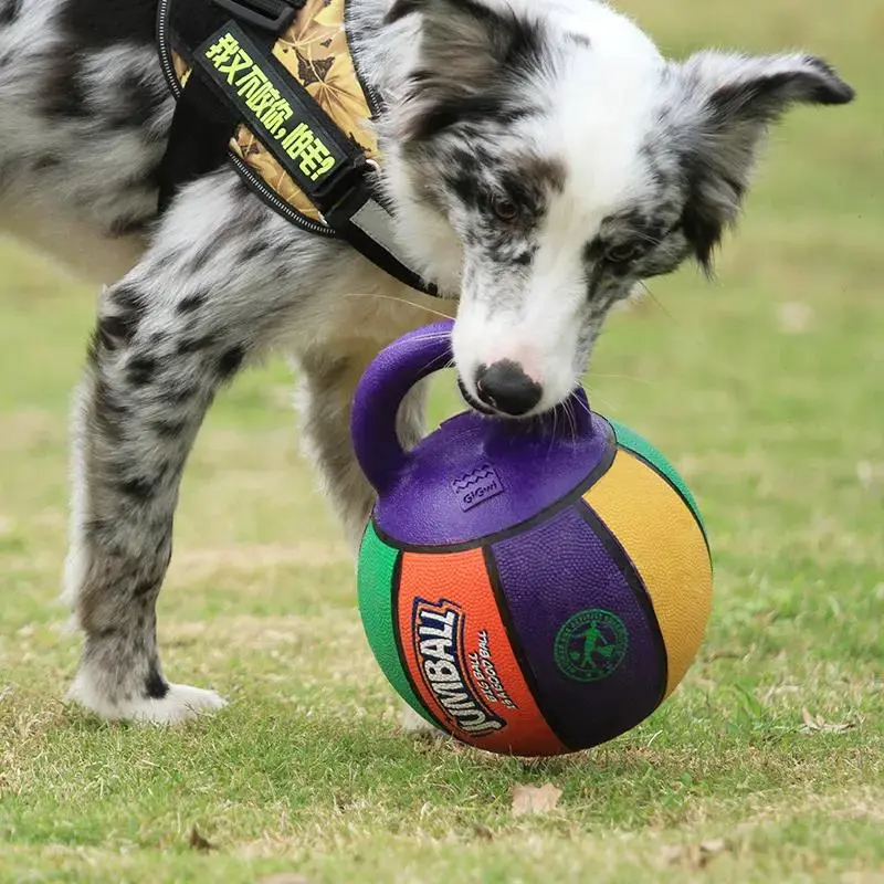 Jumball Dog Toy