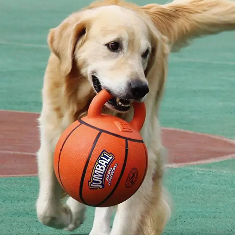 Jumball Dog Toy