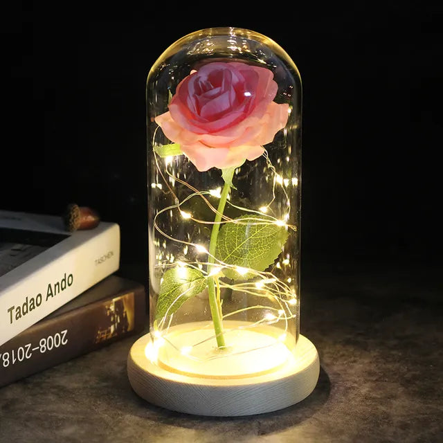 Enchanted Lumina Rose