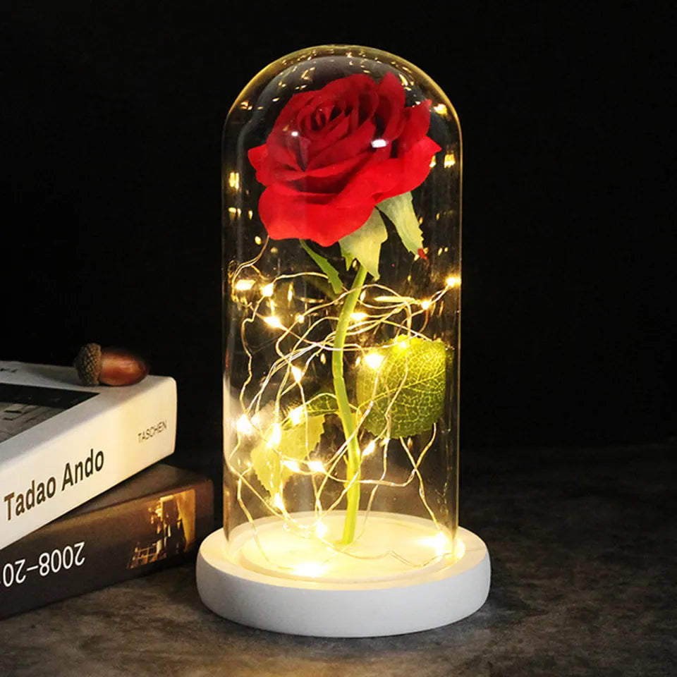 Enchanted Lumina Rose