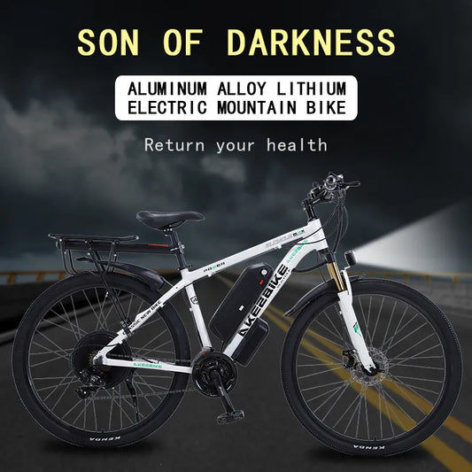 Electric Bicycle 48V 1000W Motor 29