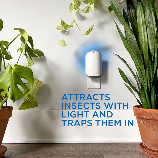 Flying Insect Trap