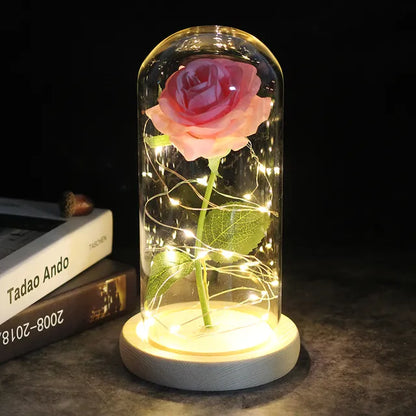 Enchanted Lumina Rose