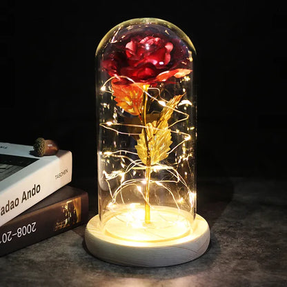 Enchanted Lumina Rose