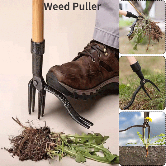 2023 Summer Pre-sale - Weed Puller Tool